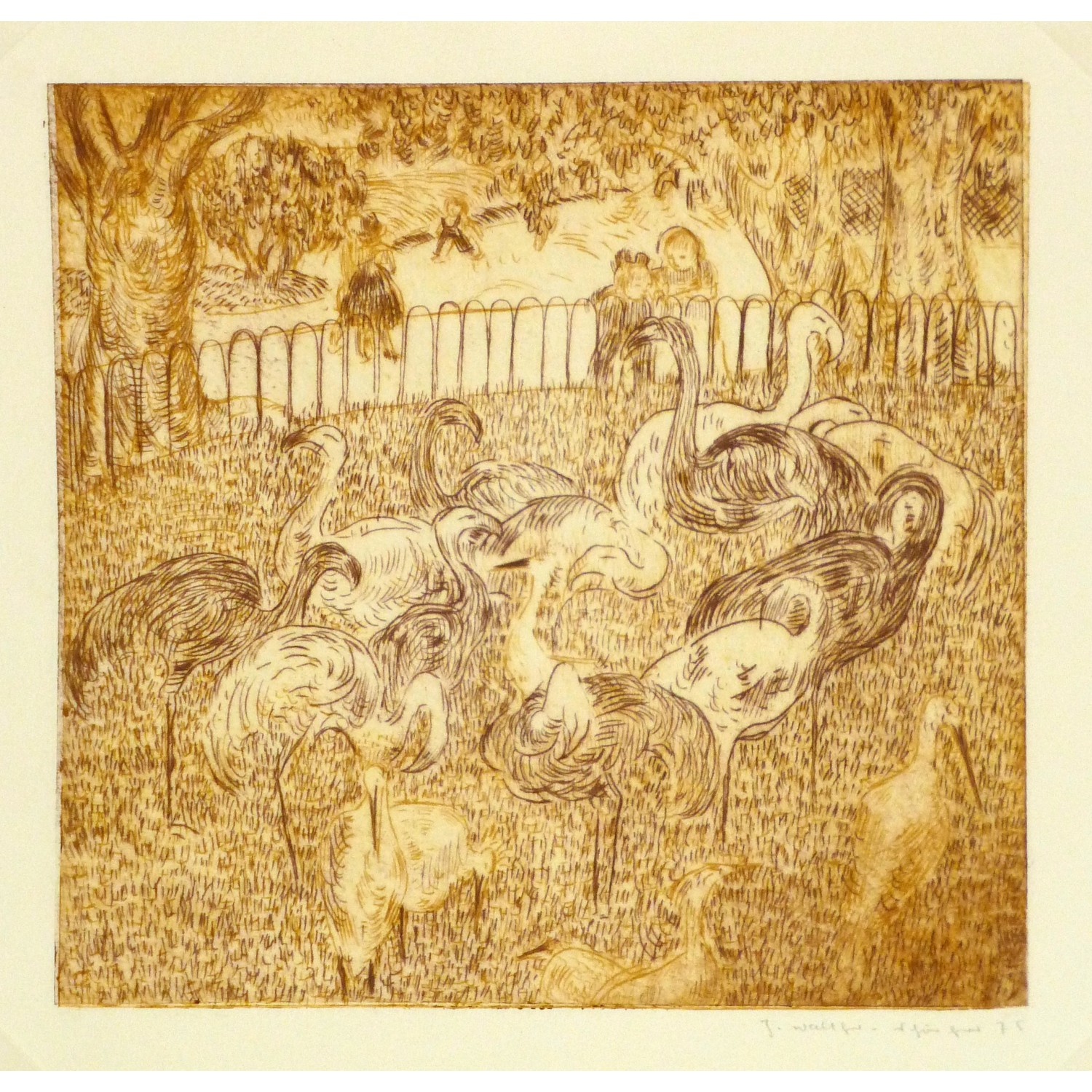 Aquatint Etching Flamingos Original Art, Antique Maps & Prints