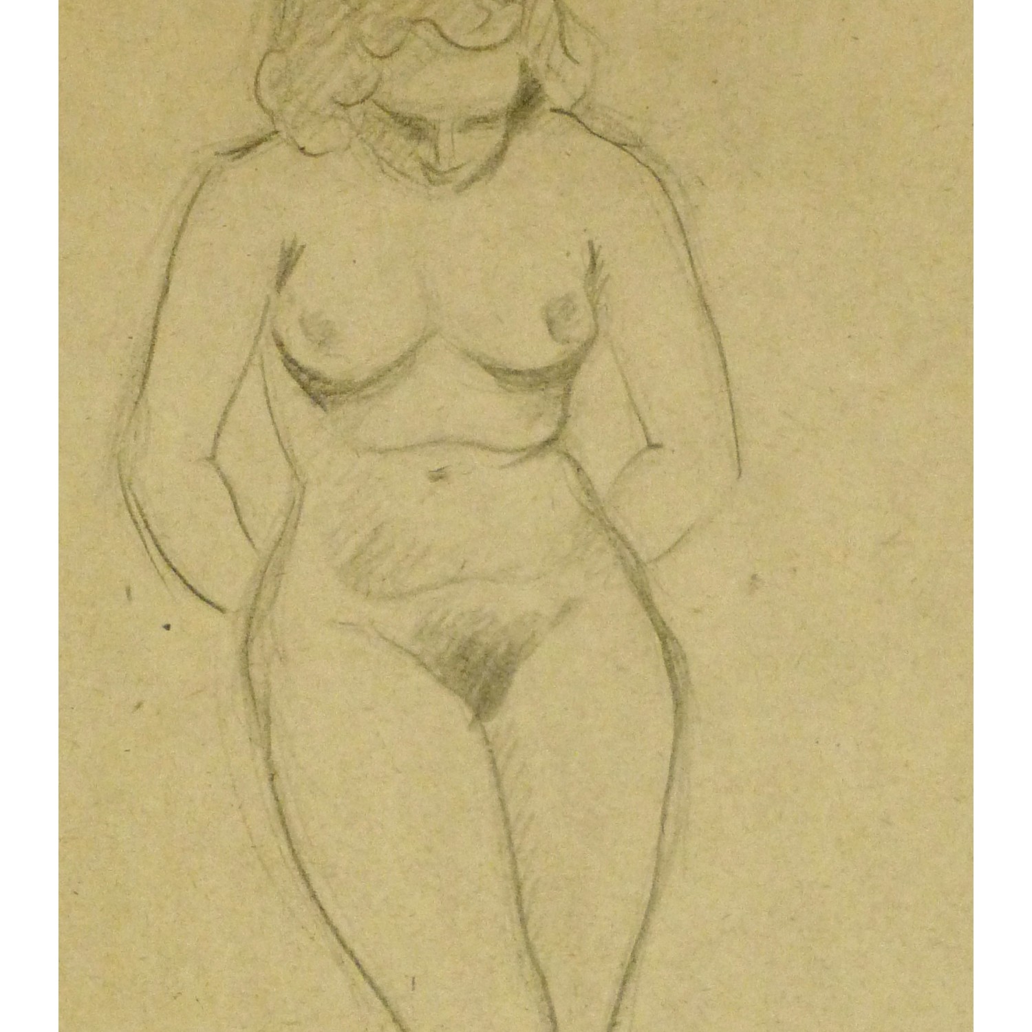 Erotic Nude Drawing 95