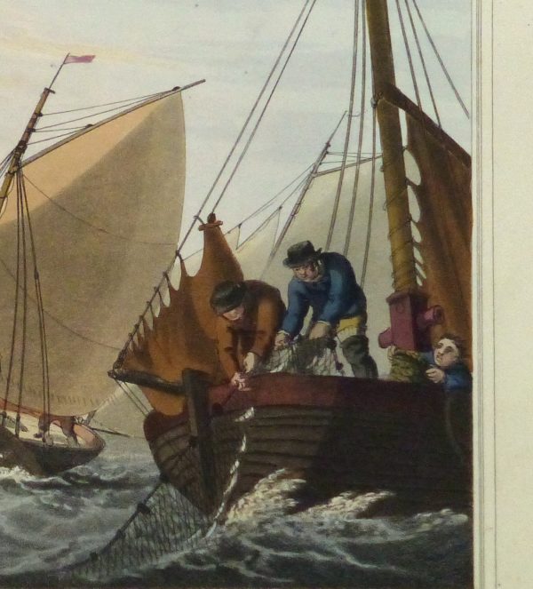 Aquatint Etching- Mackerel Fishing, 1813-detail10541M