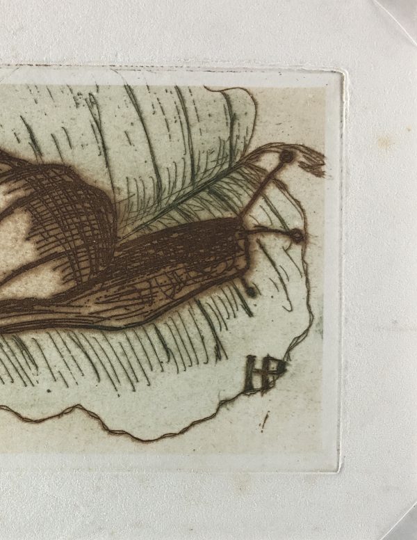 Engravings & Etchings Original Art Etching Snail, c.1960 Original