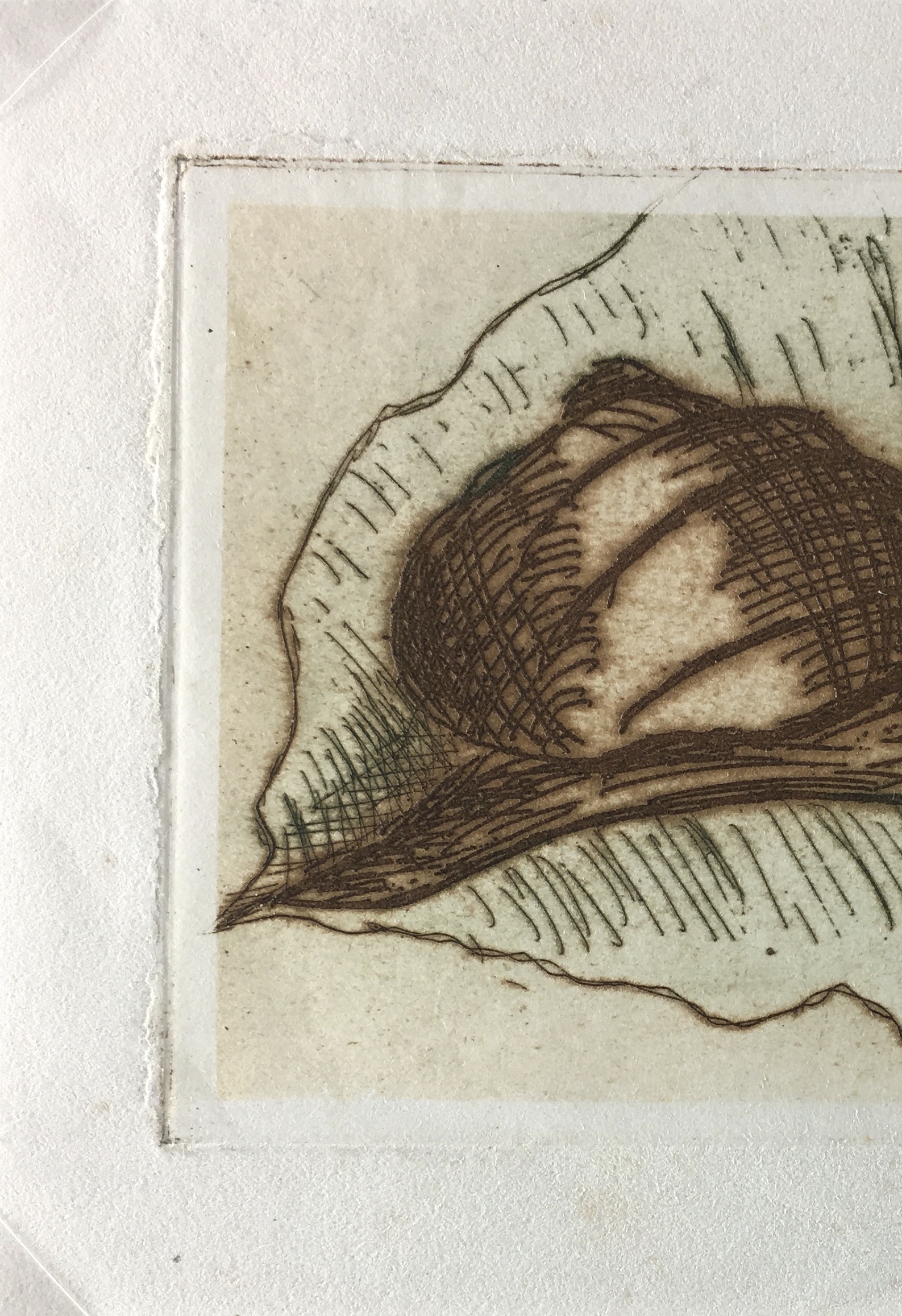 Engravings & Etchings Original Art Etching Snail, c.1960 Original