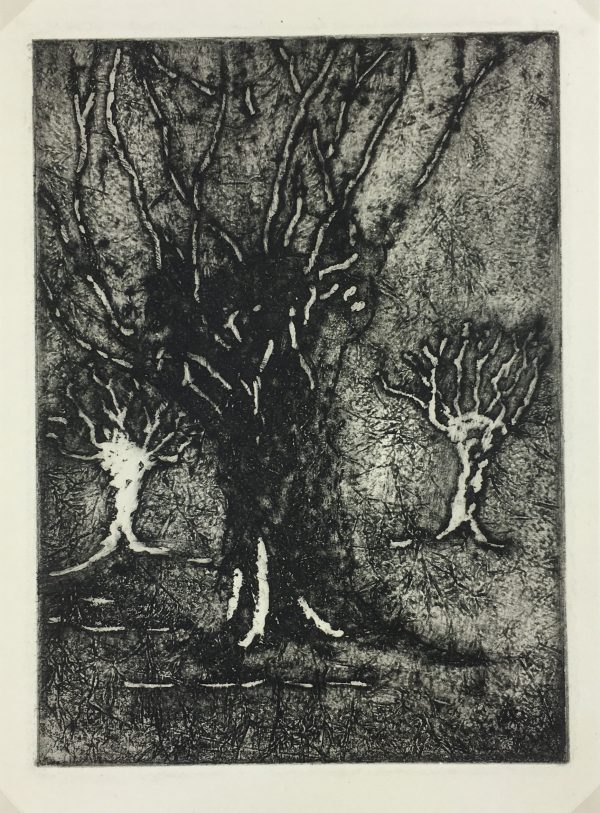 Engravings & Etchings Original Art Etching Trees, Ball, 1981