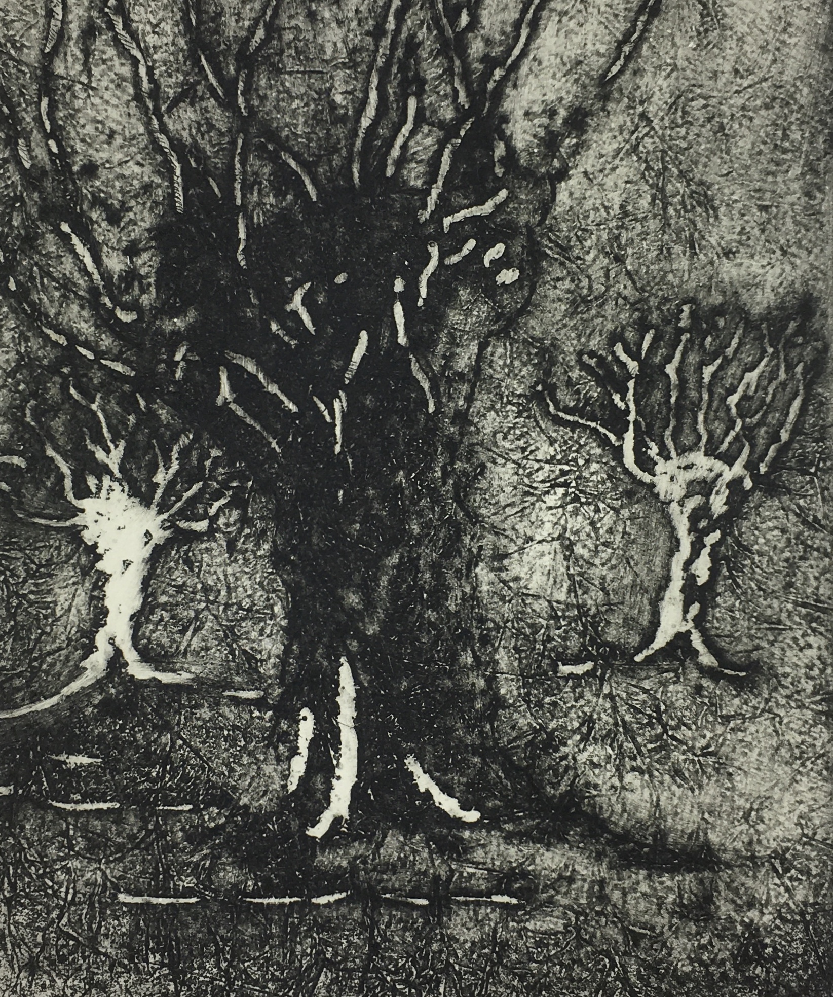 Engravings & Etchings Original Art Etching Trees, Ball, 1981