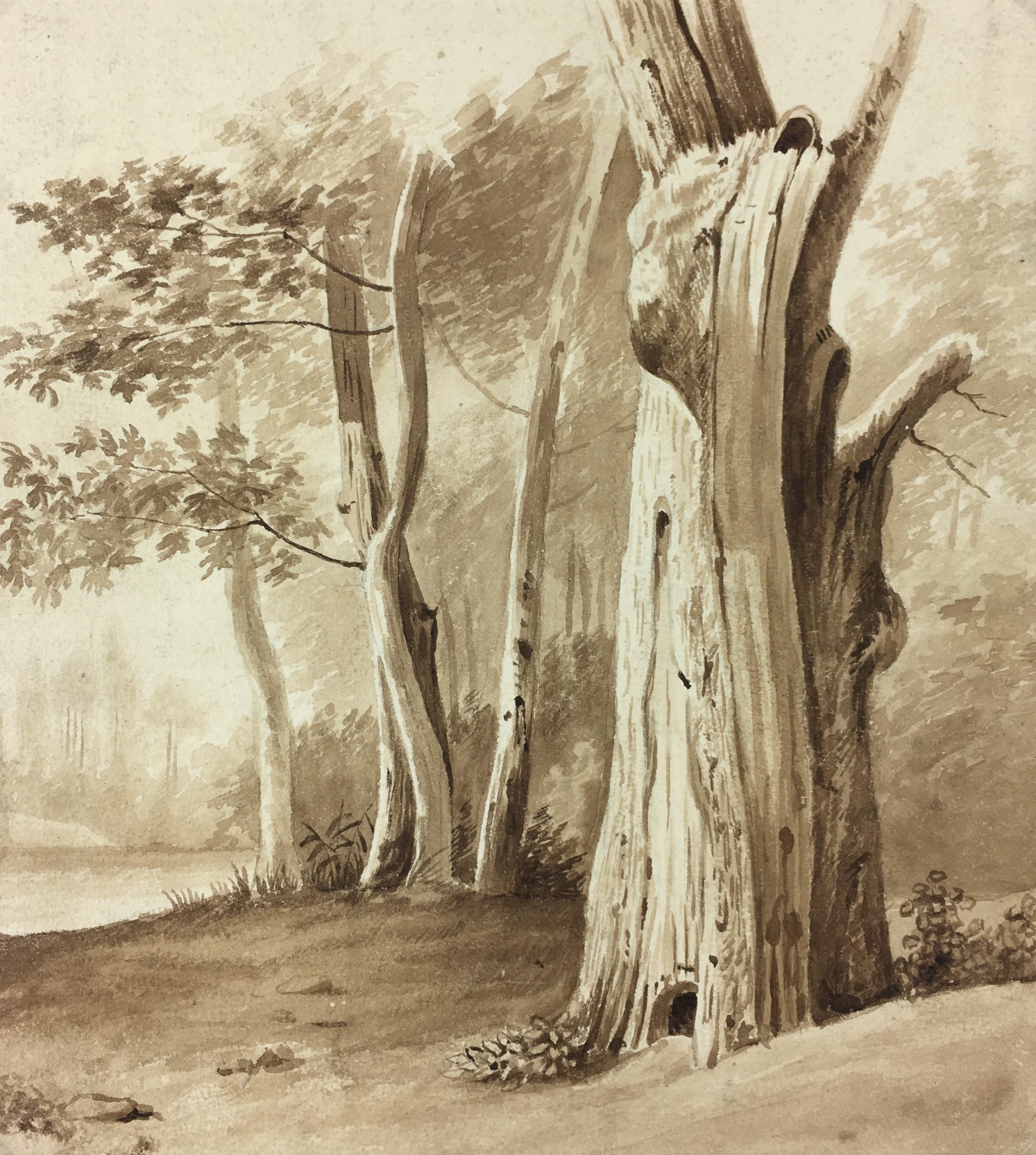 Trees Original Art - Landscape, C.1910 - Original Art, Antique Maps ...