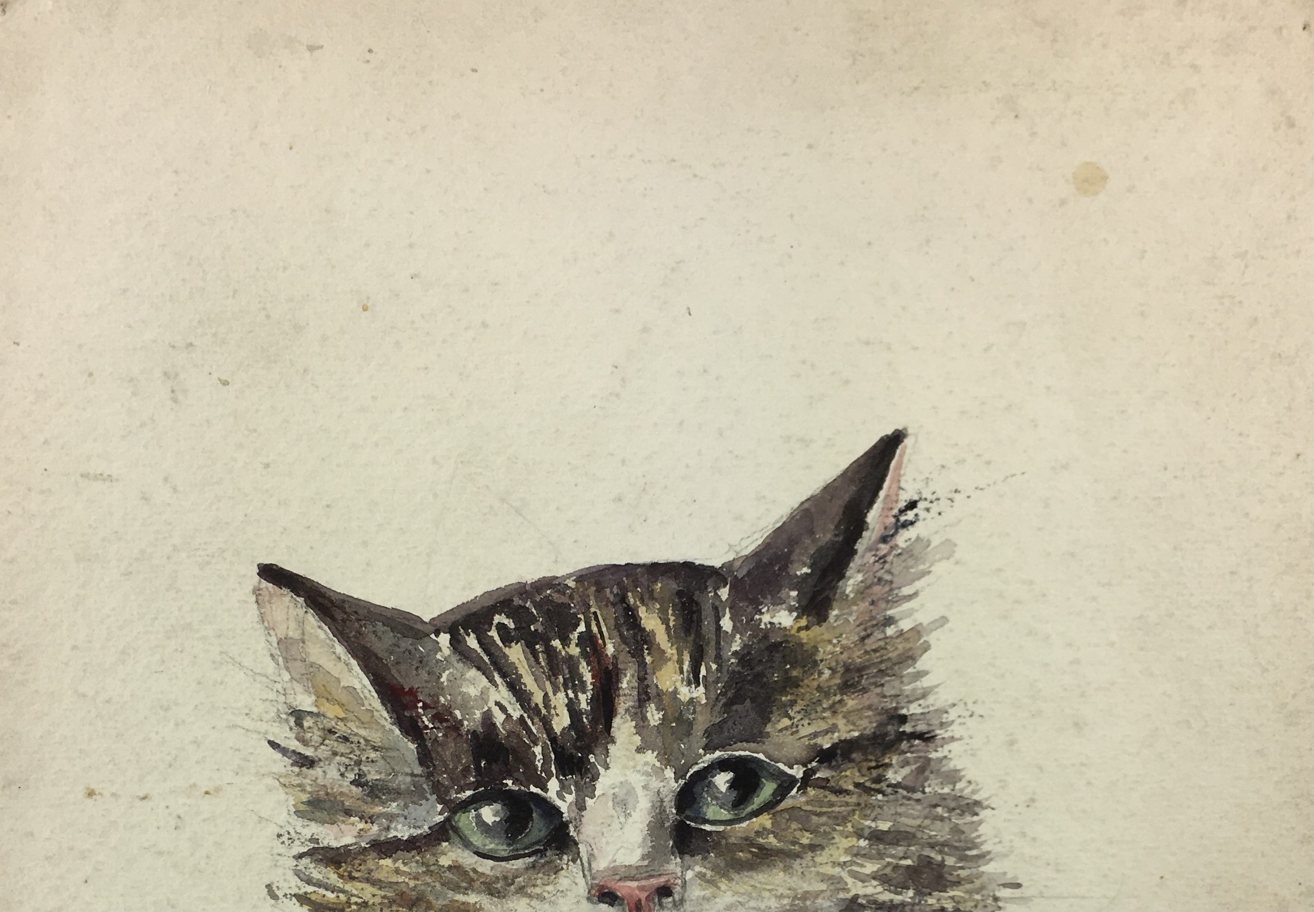 Animals Original Art - Le Chat, French, c. 1910 - Original Art, Antique  Maps & Prints