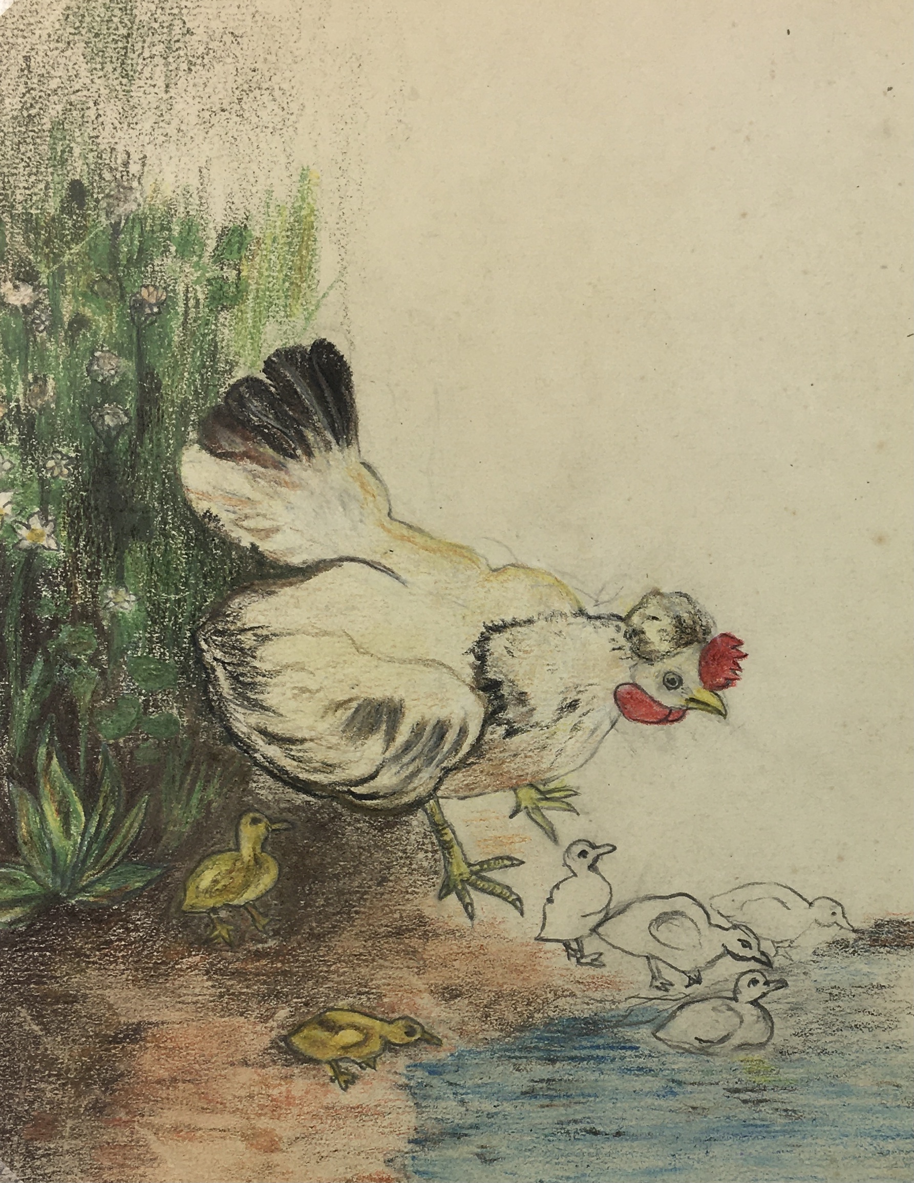 Animals Original Art - Mother Hen, French, c. 1920 - Original Art, Antique  Maps & Prints